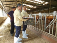 최재원 사천시 부시장, 무허가 축사 적법화 현장점검 실시