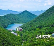 Photo des résultats de recherche Naver 6