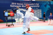 2019 대한민국 대사배 태권도대회 세계결선 무주군서 열려
