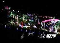  전남도, 올해 겨울 여행지 보성차밭․광양 느랭이골 추천!