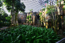 거제식물원(둥굴관) 개장식