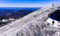 한파에도 돋보이는 덕유산 눈꽃