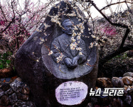 광양 청매실마을 매화가 피면 섬진강물도 쉬어간다.