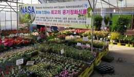 성남시, 코로나19 피해 성남 화훼농가 살리기 직거래 장터