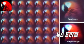 카이스트, 상용 카메라에 근접한 곤충 눈 구조 초박형 카메라개발