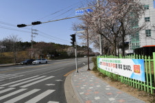 충남 예산군, 코로나19 예방 위해 벚꽃나들이 자제 당부
