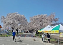 함양군,코로나19 대응 상춘객 발열체크 검역소운영