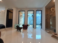 아이조아요양보호소 강아지무료분양으로 유기견입양 시스템 정착시켜