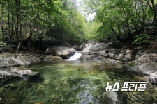가평군, 경기도 역점사업 생태관광하천 조성 추진