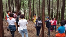 보령시, 산림문화휴양 만족도 높인다, 숲 해설 프로그램 진행