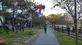 광주 서구, 코로나19 극복 응원 운천호수 산책로 전통등 설치