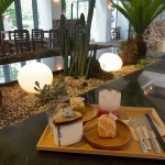 랑데자뷰 석촌호수점, 23일 오픈...제주도 느낌 물씬