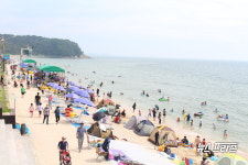 [포토] 대천해수욕장에서 물놀이를 즐기는 피서객