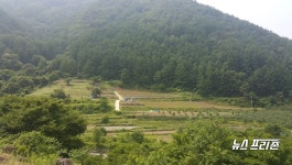 단양군, 단양수목원 조성 추진