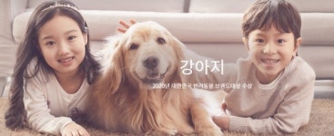강아지분양 전문 브랜드 펫제이, 반려견과 반려인 위한 다채로운 고객만족서비스 제공