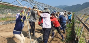 합천군,삼가면 이장단 율곡면 내천마을 수해복구 지원 나서