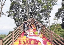 [기획특집] 함양군 오도재 단풍경관 특화 숲 조성