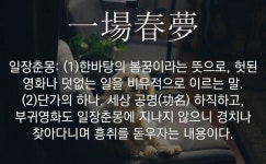 일장춘몽