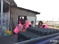 보령시 자원봉사센터, 1+3 사랑의 연탄 나눔 봉사 펼쳐