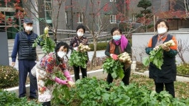구리시, 도시농업 아파트 텃밭 ..시민화합. 소통의장으로 ..
