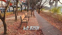 팔거천동로 경관녹지 무장애 나눔길 조성 사업 완료