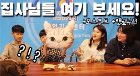 안성시, 자매도시 랜선 농촌체험 활동 진행