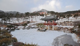 [NF포토] 눈 내린 산청 동의보감촌