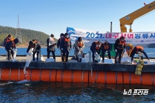 통영시 바다목장 사업으로 대구자어 방류