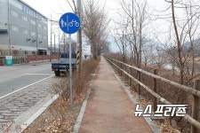자전거만 다닐 수 있는 길에 보도도 있는 것처럼 위장된 창원천변 삼동로