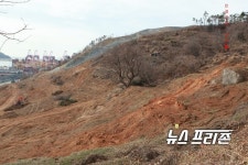 [기자수첩] 사라질 위기 놓인 진해 안골진 신당 보존해야