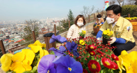 대전 동구 대동하늘공원, 봄꽃 활짝...식재 활동 펼쳐