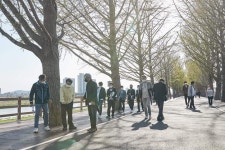 [NF포토]오세현 아산시장, 은행나무길 정비 현장 점검