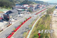 김해시 도로변이 확 바뀌었어요 꽃·나무로 새 단장