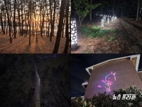 보령시 시설관리공단, 동백관 숲속야영장 재개