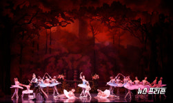 고전발레에 이국적인 스페인 춤을...희극발레 돈키호테