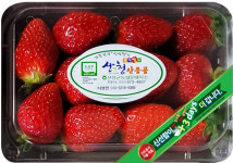 산청딸기 800여 재배농가 연간 1천억 소득