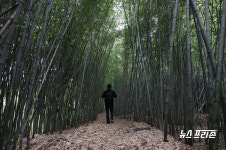 보령시 청라면 청천호 둘레길 시민 힐링 코스로 각광