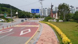예산군, 도로변에 황금사철나무 식재 관광객 눈길