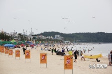 대천해수욕장, 개장 첫날 6만6000여 명 몰려