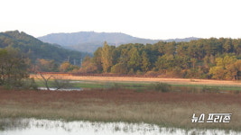 서천군 시초면, 청아한 봉선저수지에 꿈의 만월을 띄운다!