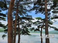 [31일 날씨] 주말 전국 더위 계속, 비 오락가락