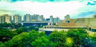 평택시 1인세대 전국 평균치 웃돌고‥경기도 5위  정책변화 추진