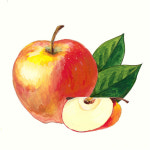 산청박물관 농부의 마음을 그리네 전시