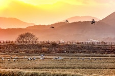 [포토] 창원 주남저수지의 사계(四季)