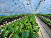 진주시, 농업 경쟁력 강화 시책 적극 추진