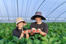 인천에서 충남 예산으로…20대 귀농부부 눈길