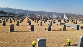 [NF포토]국립 망향의동산 무궁화묘역