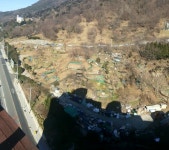 부산 황령산 자락 문현동 생태숲 조성