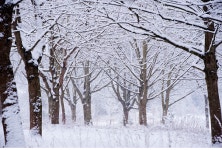 전북도, 산림휴양 문화시설 관람객 코로나19 방역 강화 추진