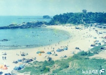 충남 서천군, 동백정해수욕장 복원 공사 순조롭게 진행 